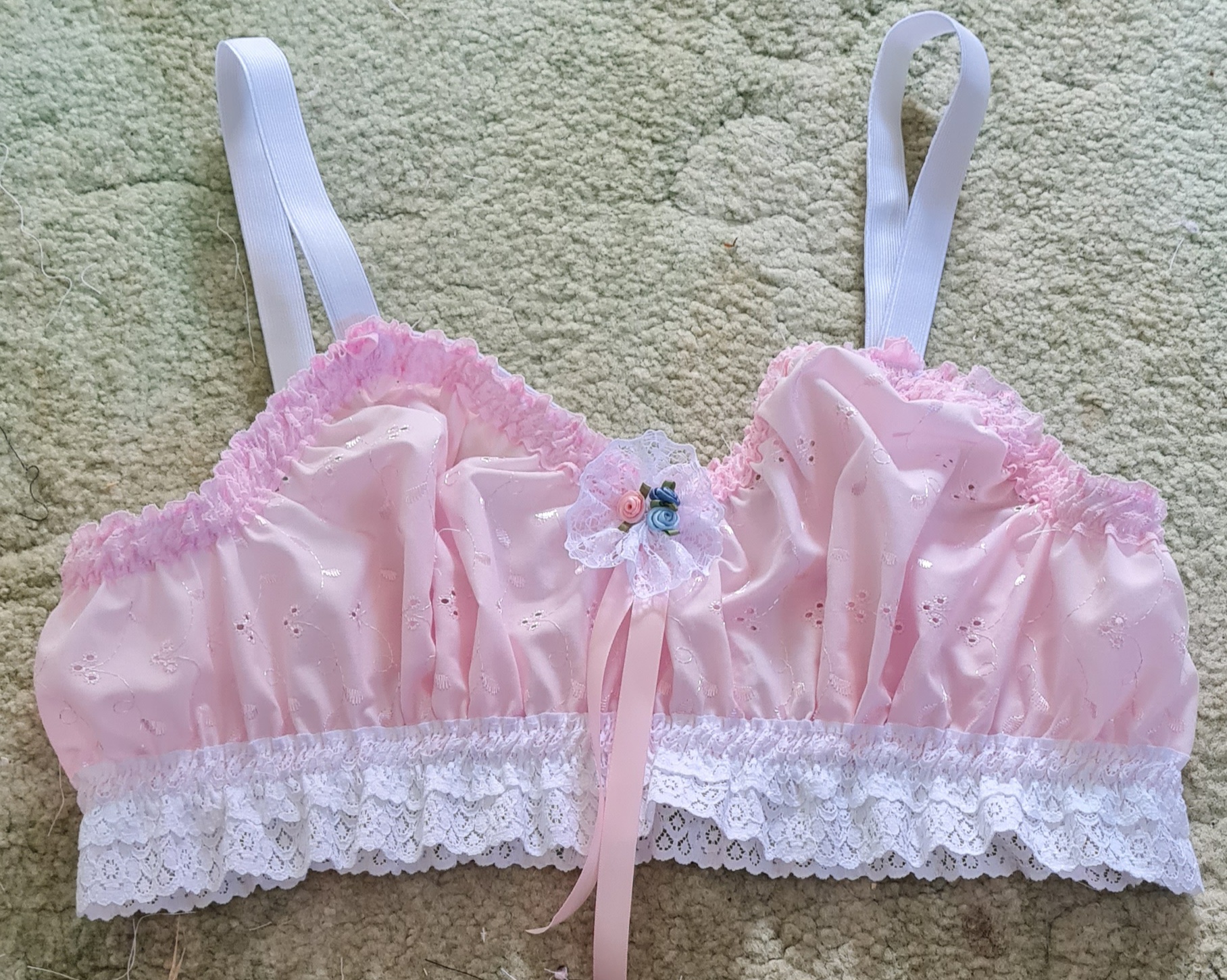 pinkanglaisebra.jpeg